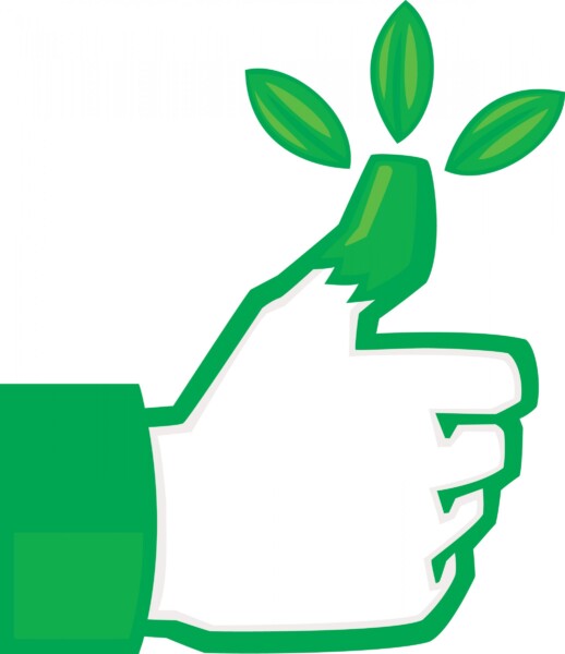Green Thumbs Unite: Easy DIY Tips for a Thriving Indoor Garden