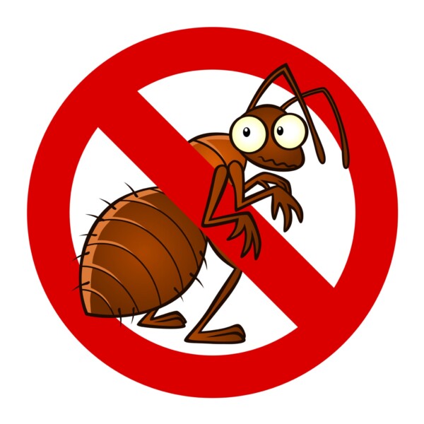 DIY Pest Control: Take Control of Your Home&#8217;s Pest Problems