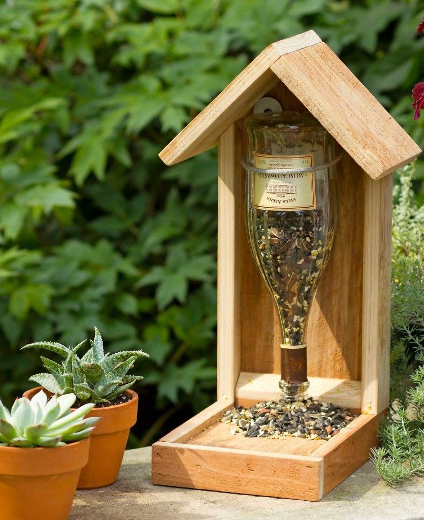DIY Bird Feeder: Enhance Your Home with Feathered Visitors