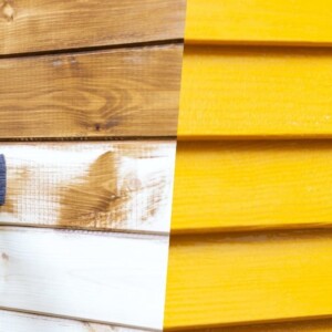 Stain vs. Paint: Which Lasts Longer?