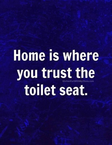 Home Sweet Throne: The Hilarious Truth About Trusting Your Toilet Seat