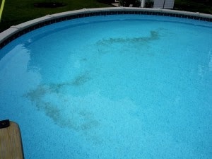 Beat Common Pool Problems: Expert Tips for a Clean and Safe Swim!