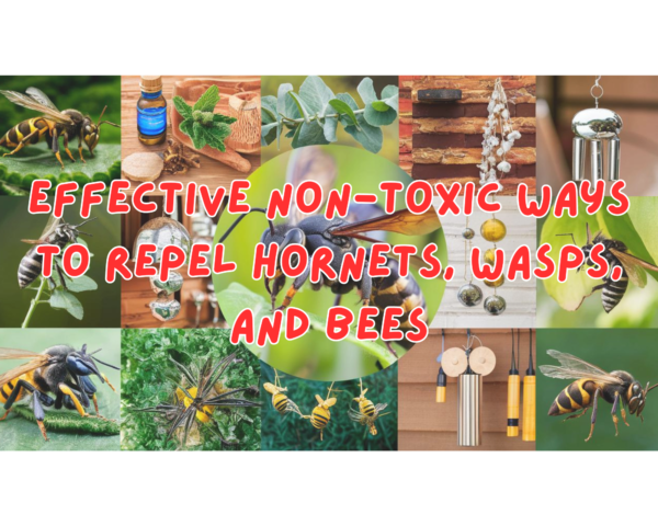 Effective Non-Toxic Ways to Repel Hornets, Wasps, and Bees