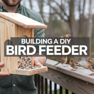 Building A DIY Bird Feeder