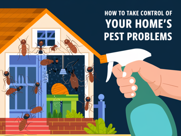 How To Take Control of Your Home&#8217;s Pest Problems