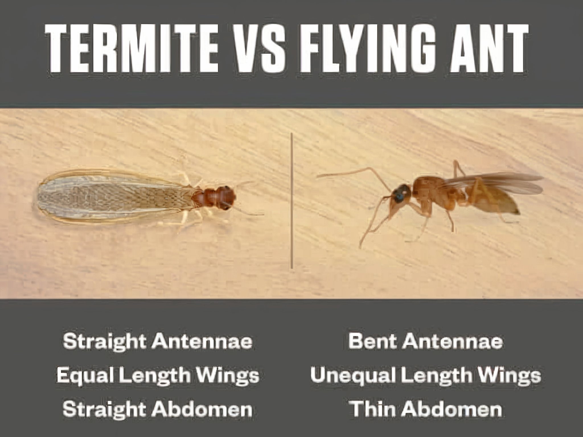 How To Winterize Your Mini Split