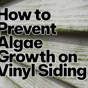 How to Prevent Algae Growth on Vinyl Siding