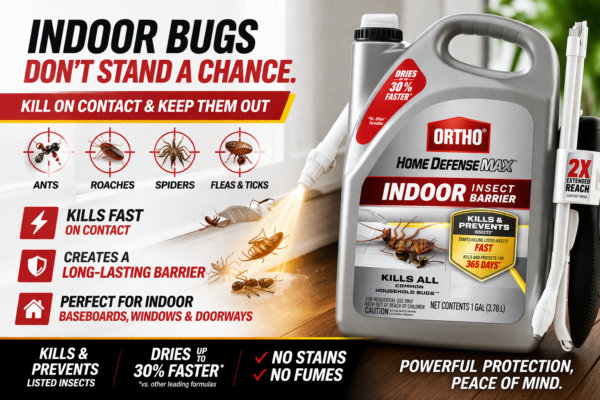 Stop Bugs Before They Take Over Your Home with This Simple Spray