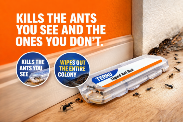 Get Rid of Ants for Good with These Proven Bait Stations